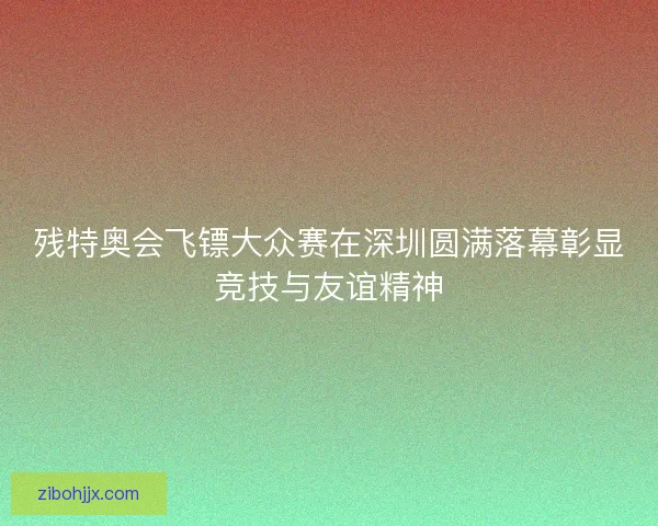 残特奥会飞镖大众赛在深圳圆满落幕彰显竞技与友谊精神
