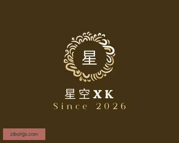 了解XK星空